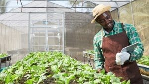Sustainable Cities Fund Agentforce Nonprofit Implementation